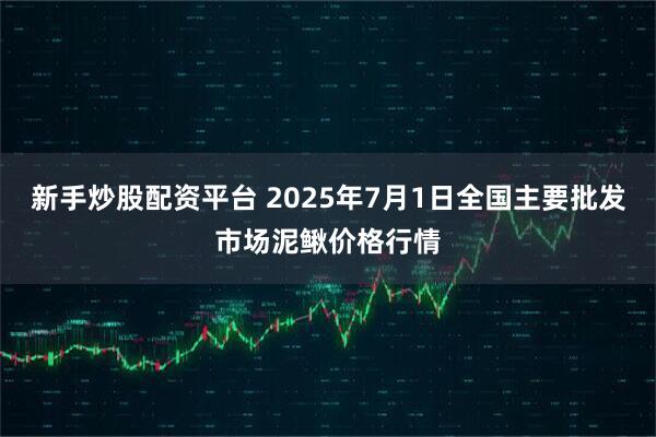新手炒股配资平台 2025年7月1日全国主要批发市场泥鳅价格行情