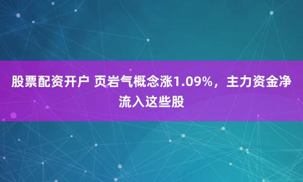 股票配资开户 页岩气概念涨1.09%，主力资金净流入这些股