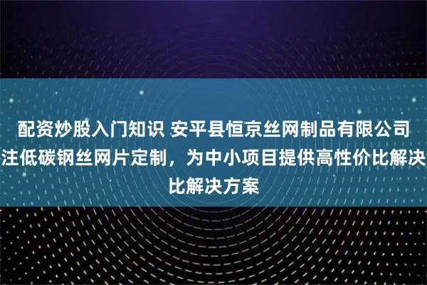 配资炒股入门知识 安平县恒京丝网制品有限公司：专注低碳钢丝网片定制，为中小项目提供高性价比解决方案